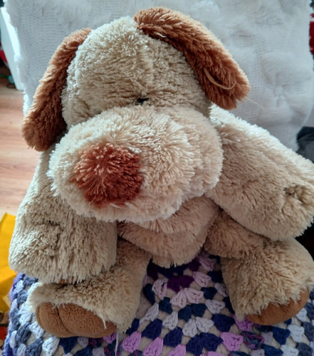 Beige brown floppy puppy dog - beige,