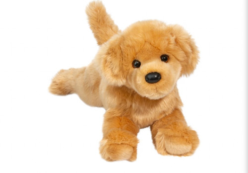 Bella golden retriever - bella,