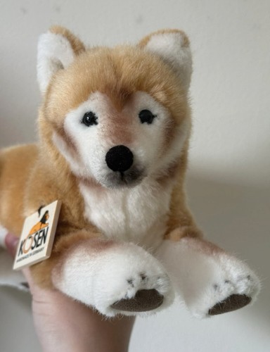 Kösen shiba inu puppy - inu,