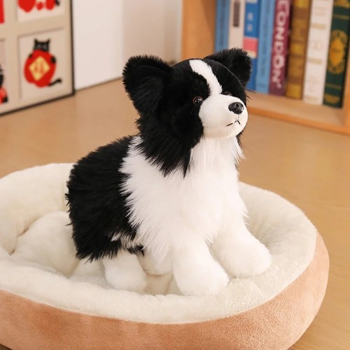 Dougles chase border collie - chase,