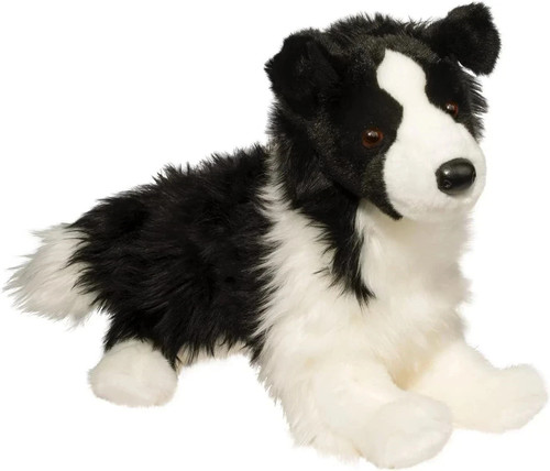 Chase border collie - collie, dog