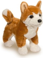 Douglas Dunham Shiba Inu Dog