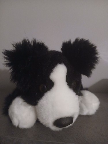 Keel toys border - toys, puppy