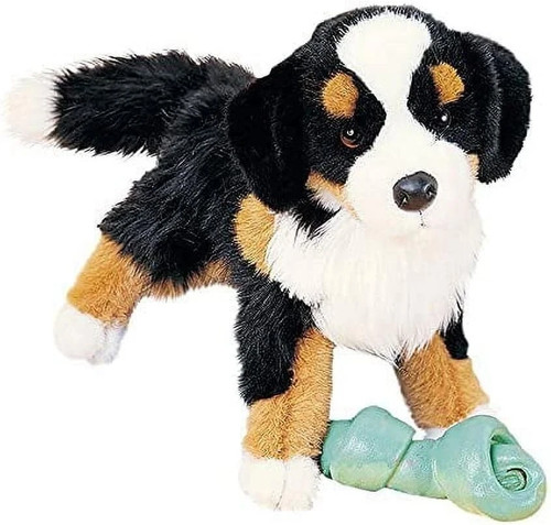 Douglas trevor bernese - trevor,