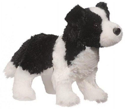 Douglas chase border collie - chase,