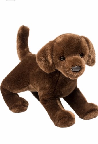 Douglas cocoa chocolate lab - cocoa,