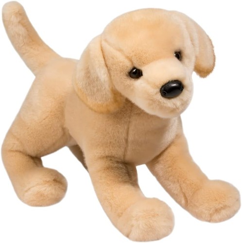 Douglas mandy yellow lab - mandy, dog