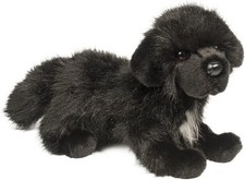 Douglas Bundy Newfoundland Dog