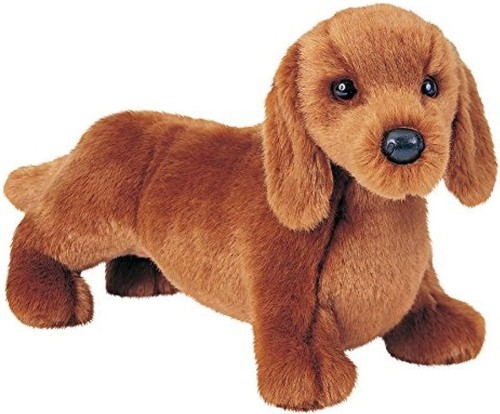 Douglas gretel red dachshund - douglas,