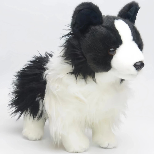 Chase border collie - collie, dog