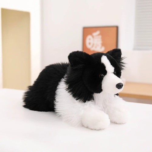 Dougles chase border collie - dougles,