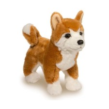 Douglas Dunham Shiba Inu Dog