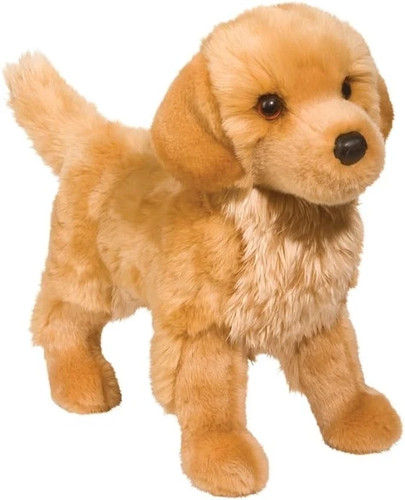 Douglas king golden retriever - douglas,