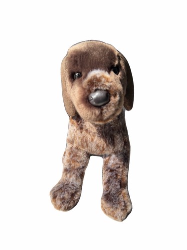 Wolfgang german pointer - wolfgang,
