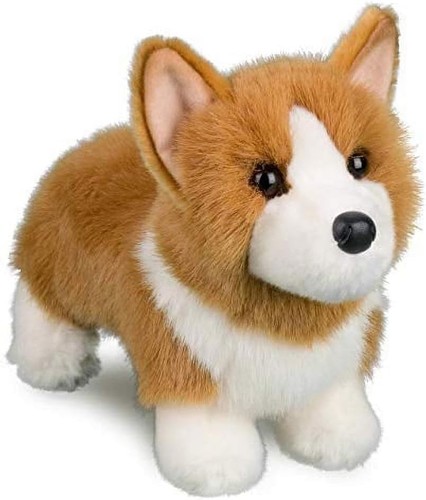 Douglas louie corgi - douglas,