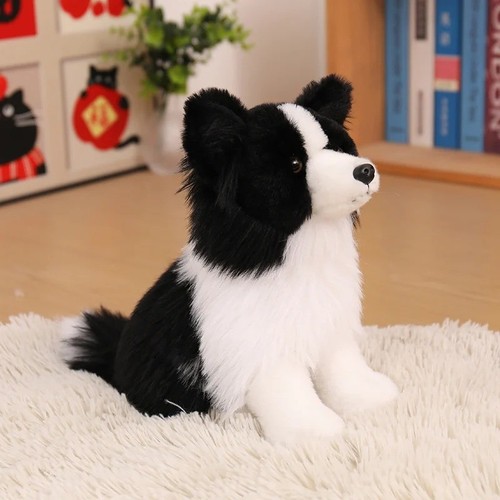 Dougles chase border collie - chase,
