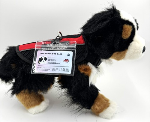Douglas trevor bernese - douglas,
