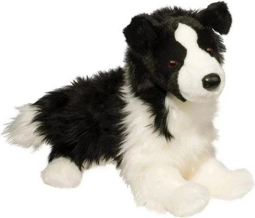 Douglas chase border collie - douglas,