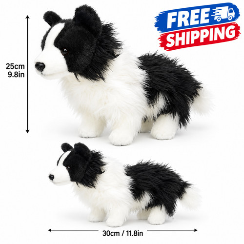 Dougles chase border collie - dougles,