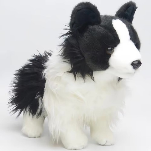 Dougles chase border collie - chase,